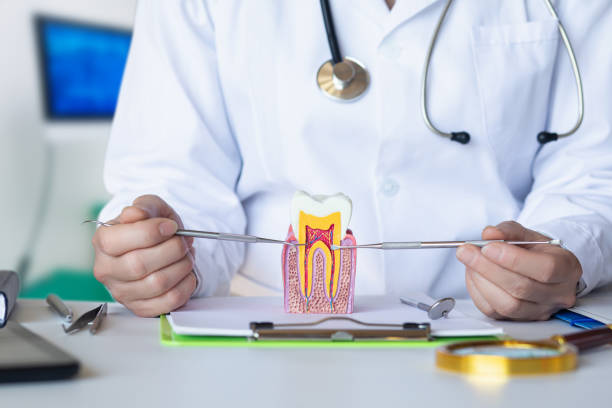Best Emergency Dentist for Knocked-Out Tooth in South Valley, NM